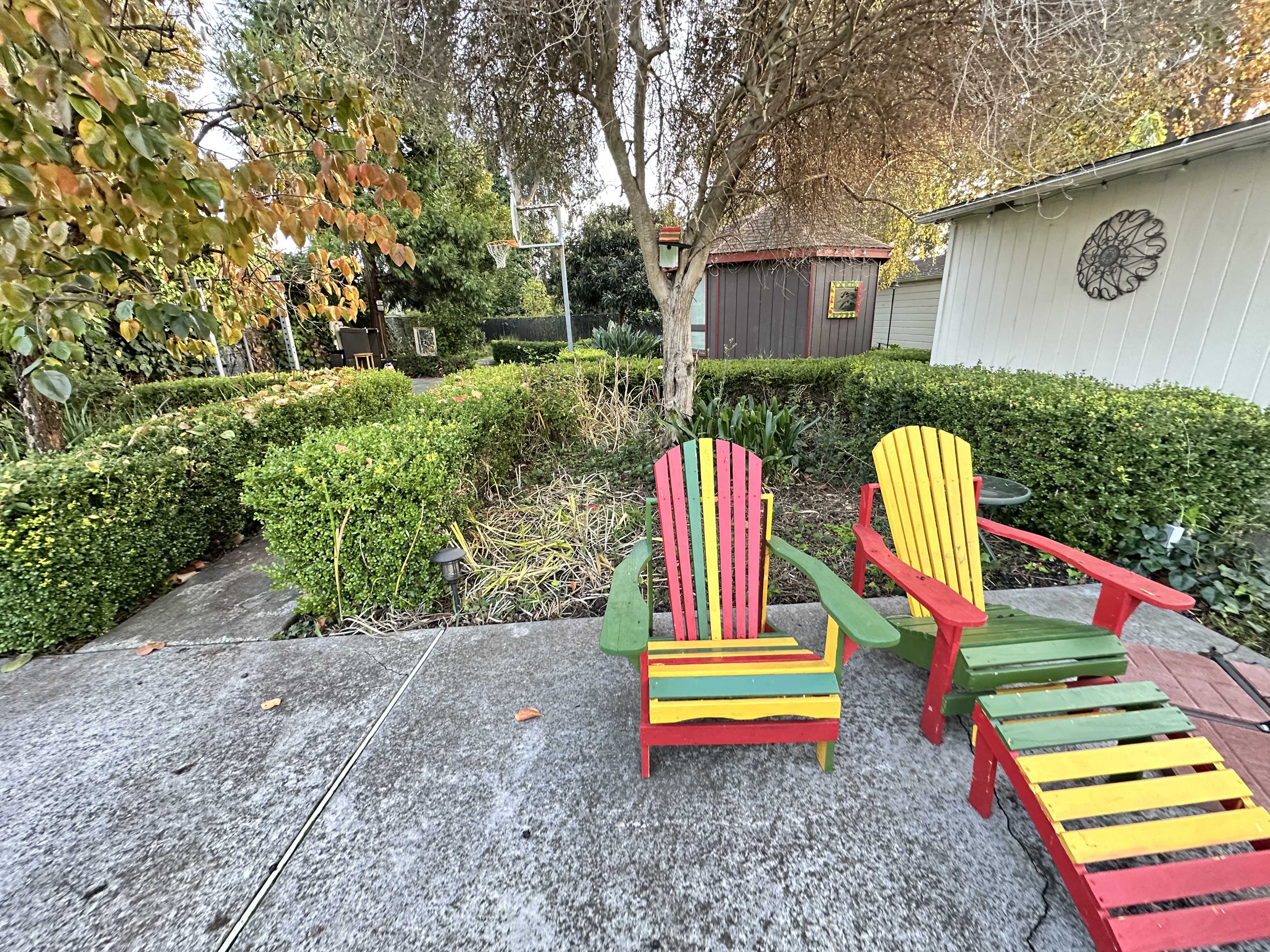 Garden photo 5
