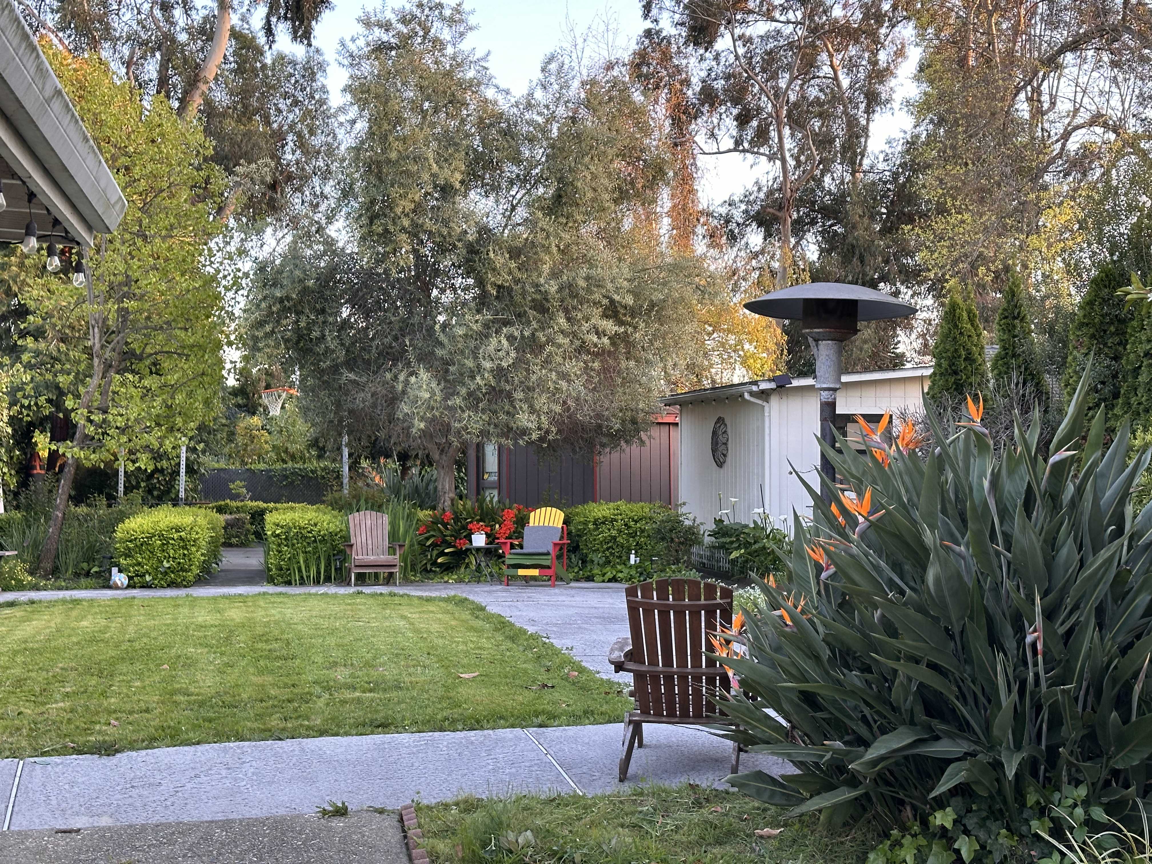 Garden photo 8