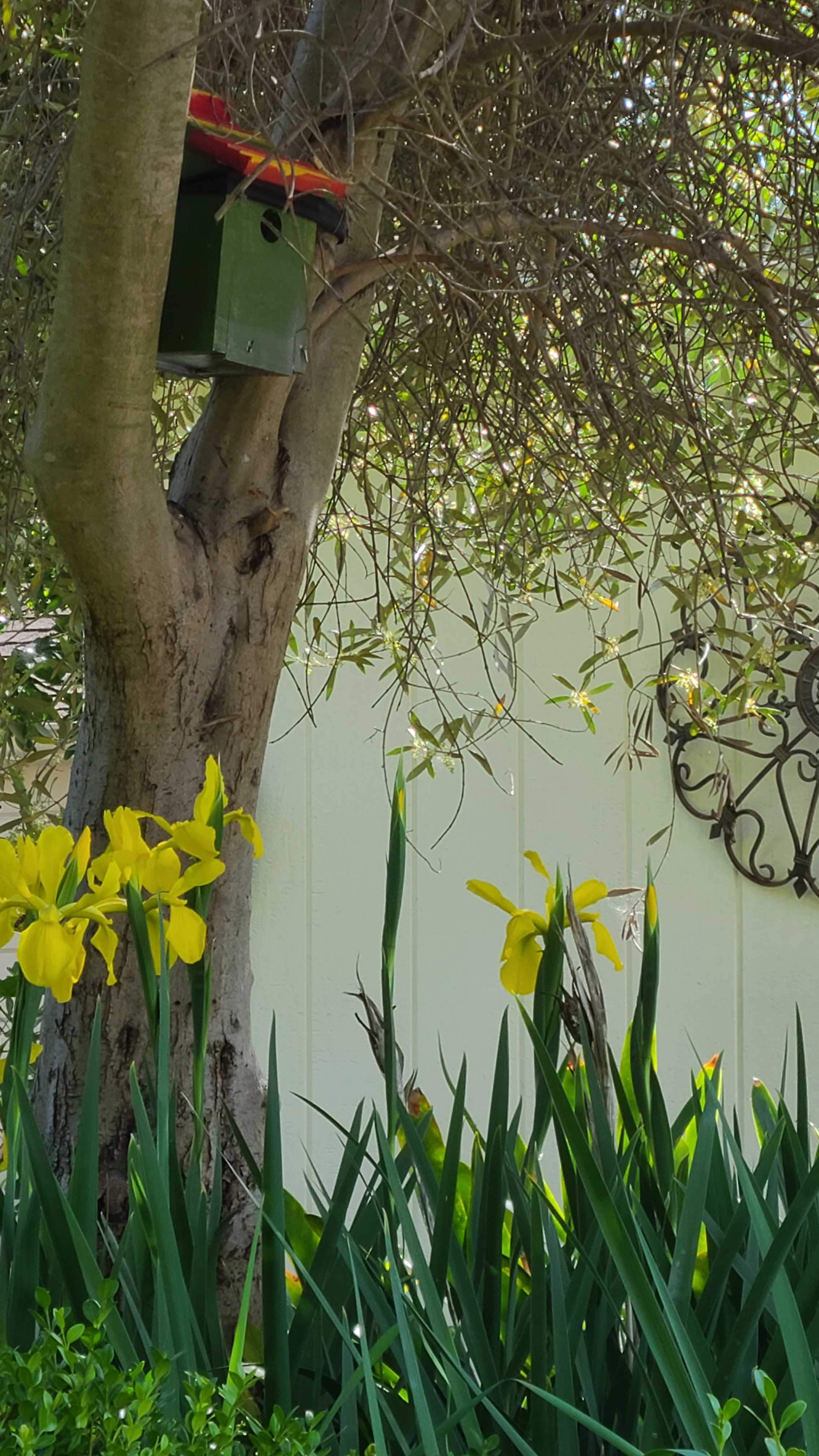 Garden photo 11
