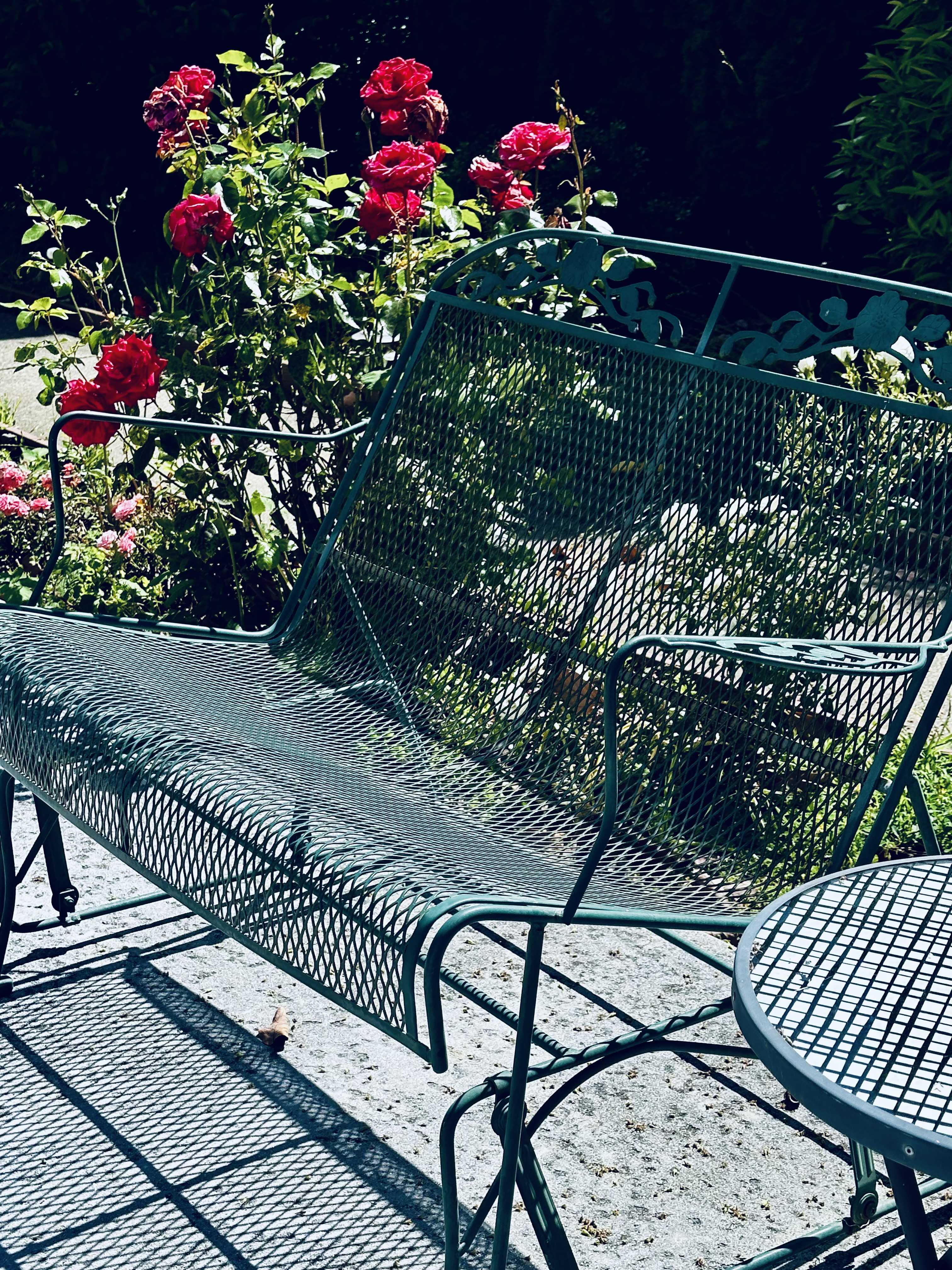 Garden photo 16