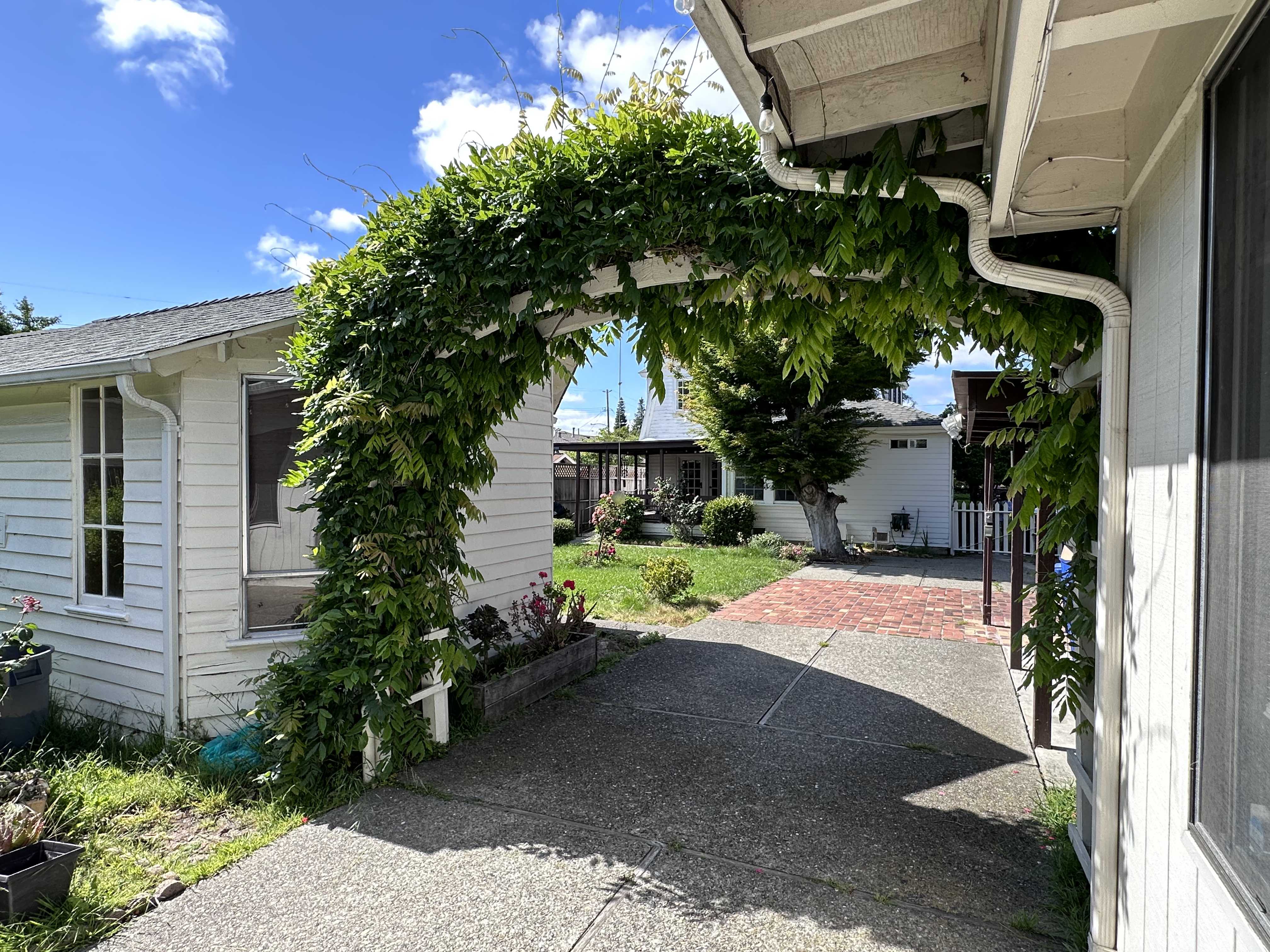 Garden photo 17