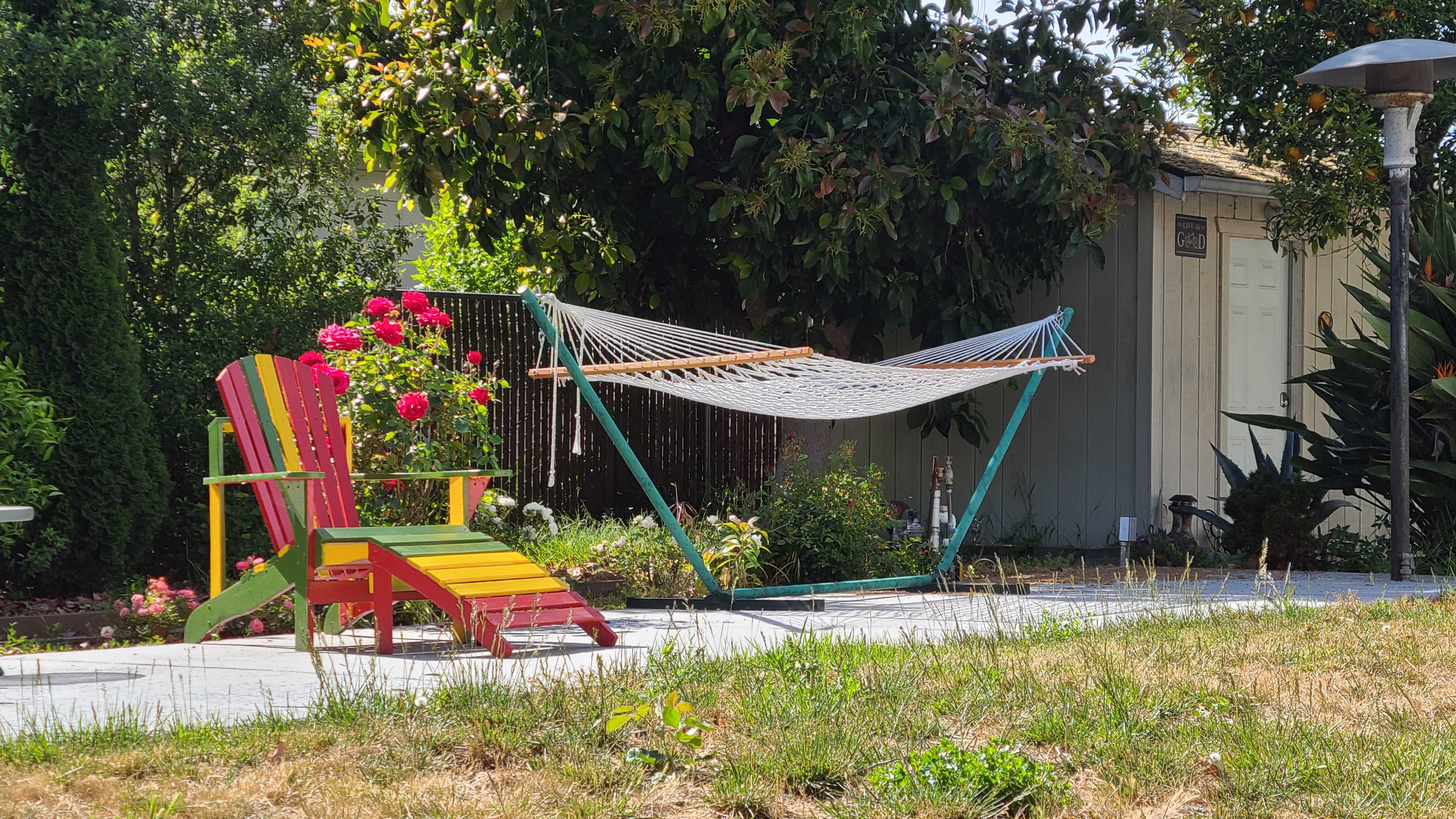 Garden photo 18